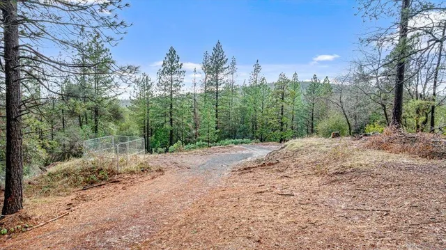a view of a city and green space