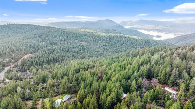 a view of a city with lush green forest