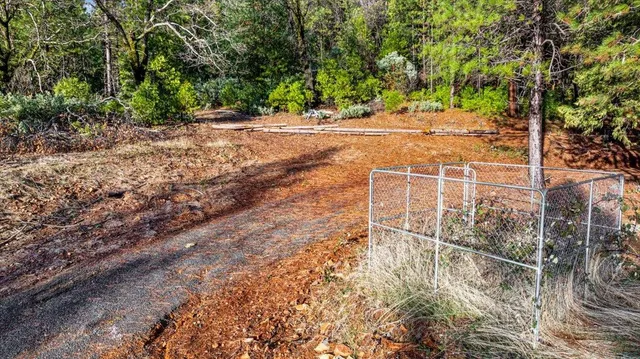 a view of a field with trees in the background