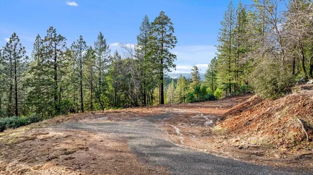 a view of backyard with green space