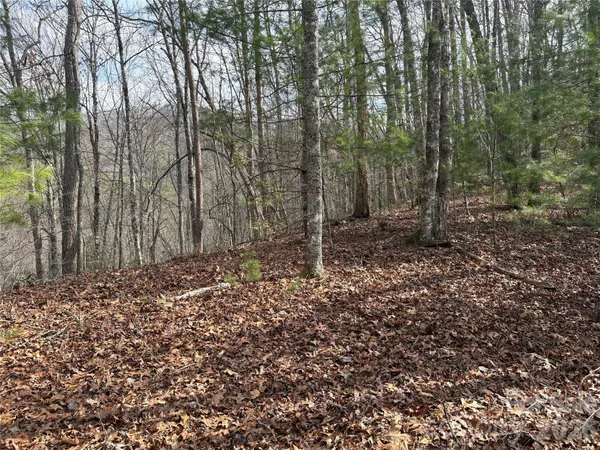 $35,000 | 0 Round Hill Road, Unit 14, Bryson City, NC 28713