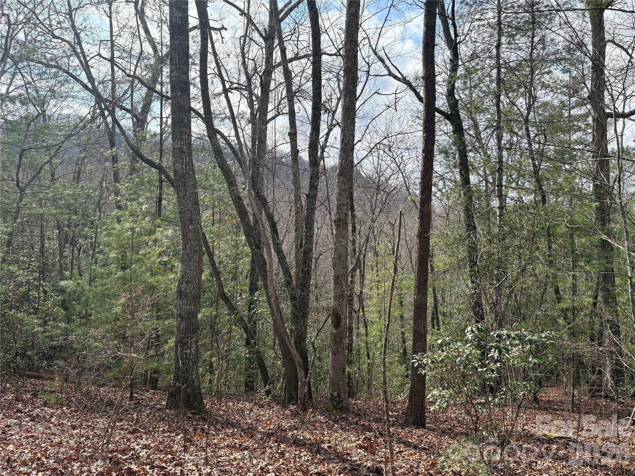 0 Round Hill Road, Unit 14 Bryson City, NC 28713 - Photo 11 of 27