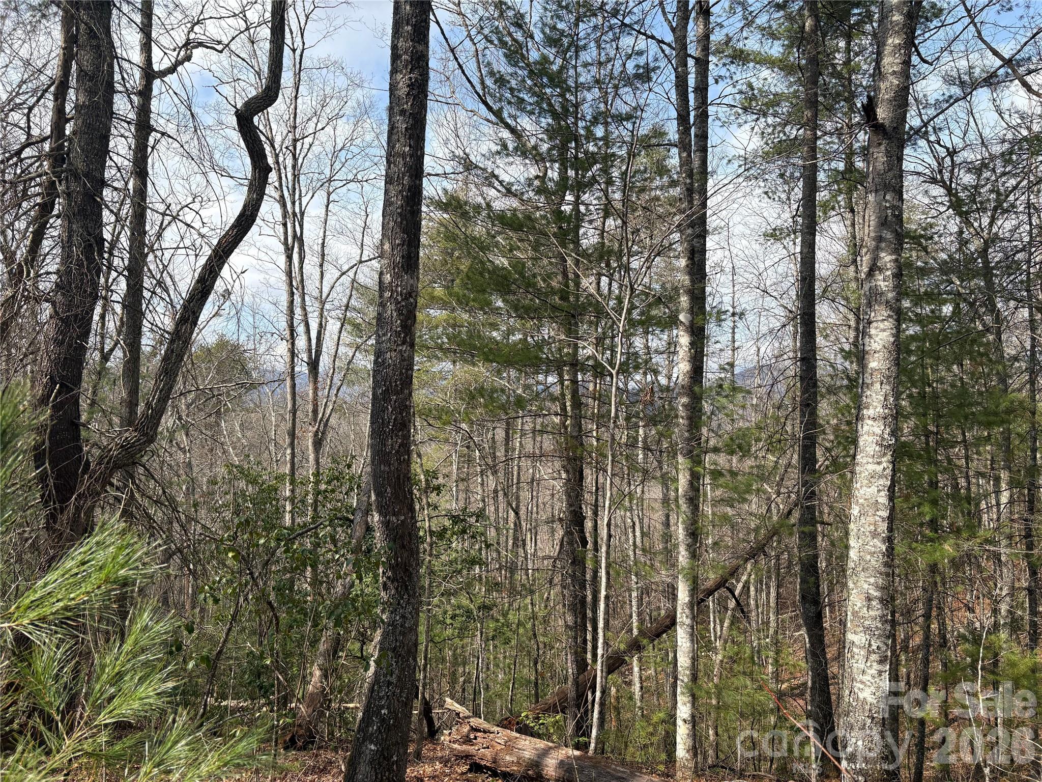 0 Round Hill Road, Unit 14 Bryson City, NC 28713 - Photo 12 of 27