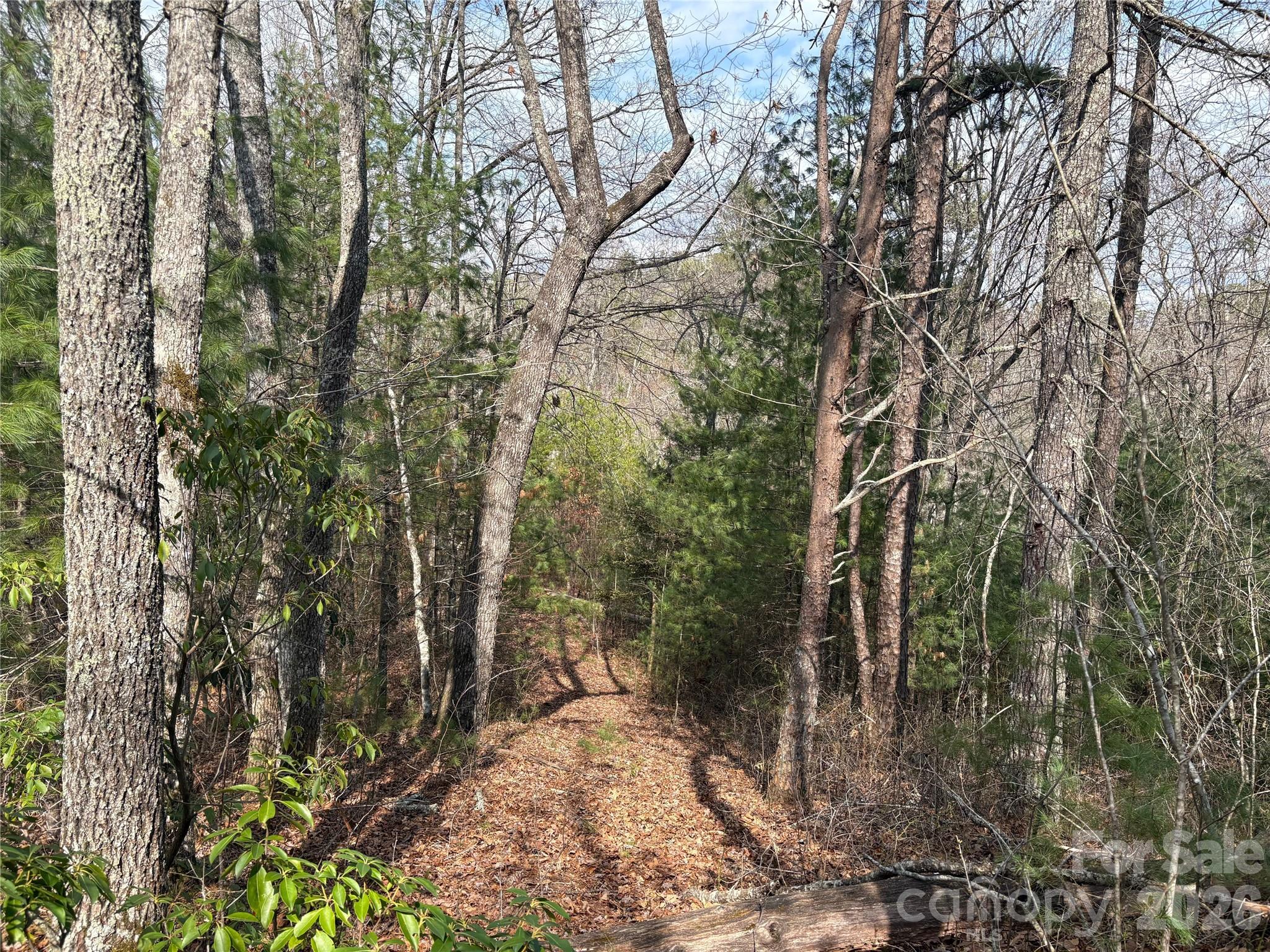 0 Round Hill Road, Unit 14 Bryson City, NC 28713 - Photo 13 of 27