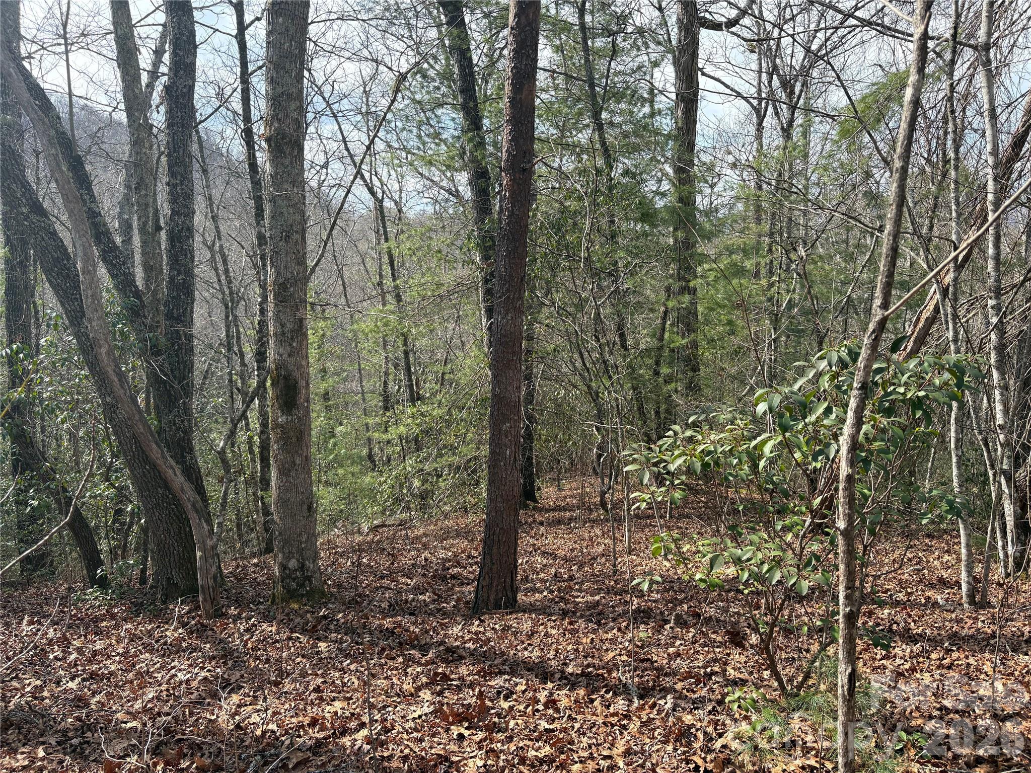 0 Round Hill Road, Unit 14 Bryson City, NC 28713 - Photo 14 of 27