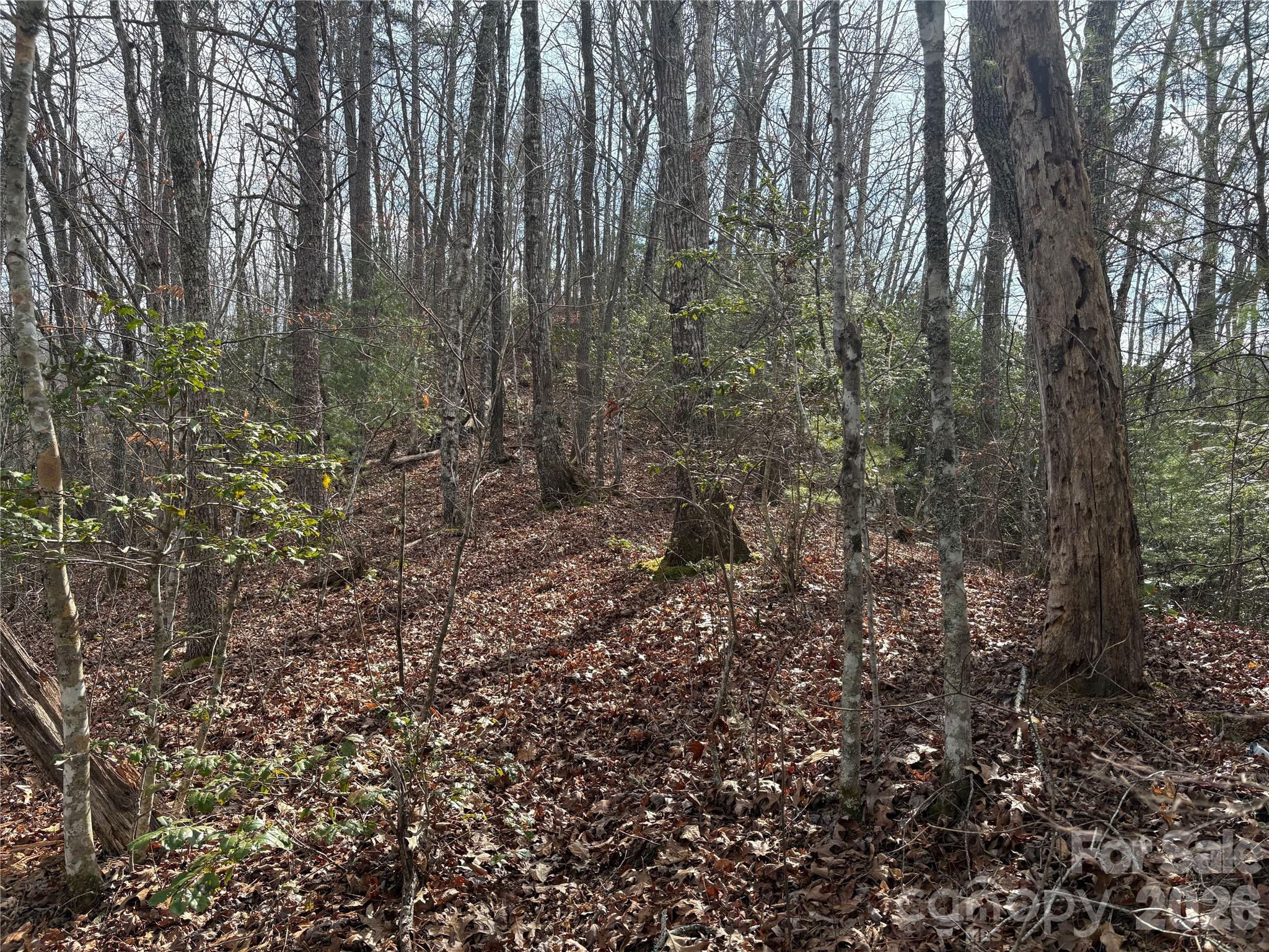 0 Round Hill Road, Unit 14 Bryson City, NC 28713 - Photo 15 of 27