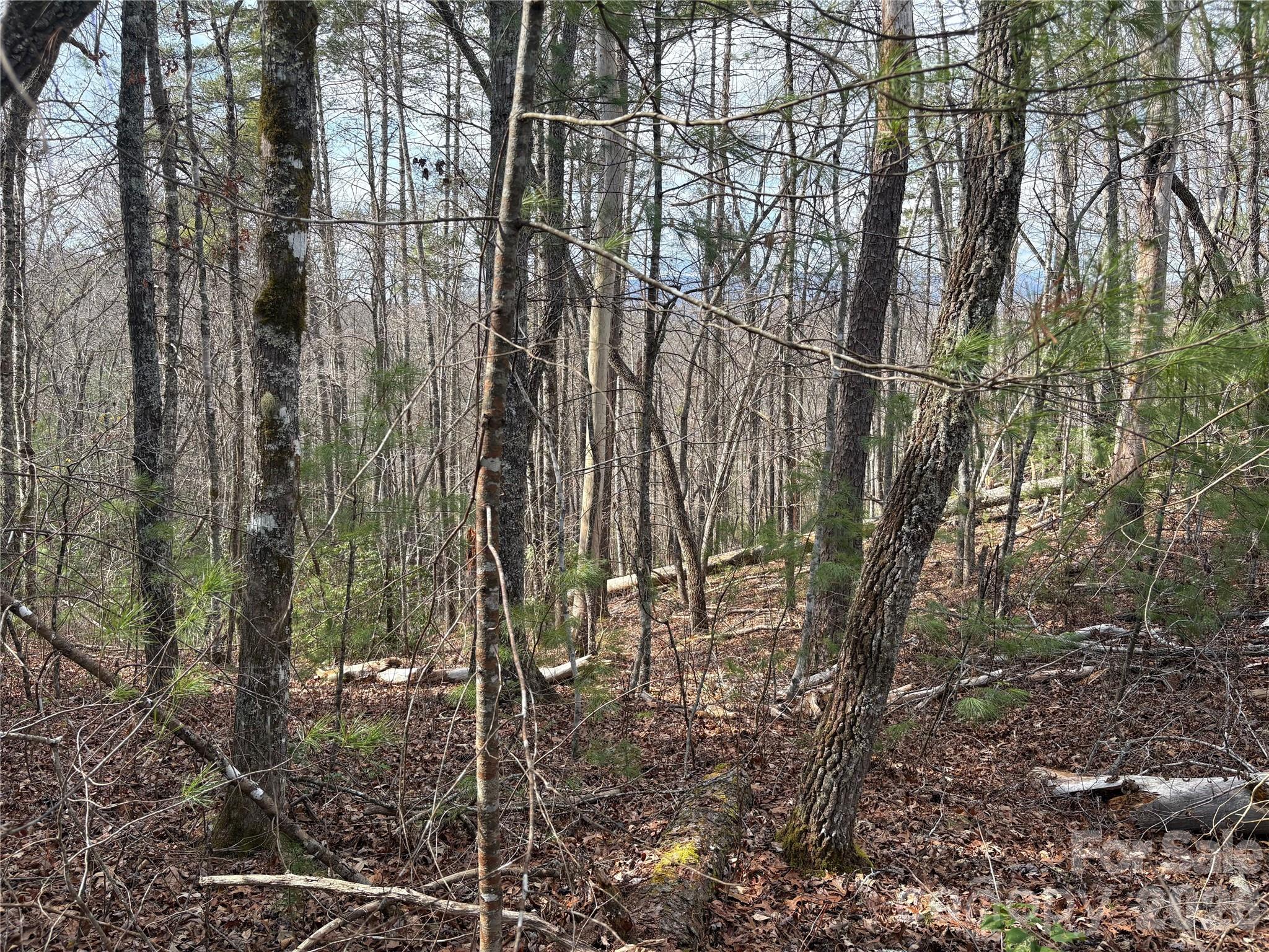 0 Round Hill Road, Unit 14 Bryson City, NC 28713 - Photo 16 of 27