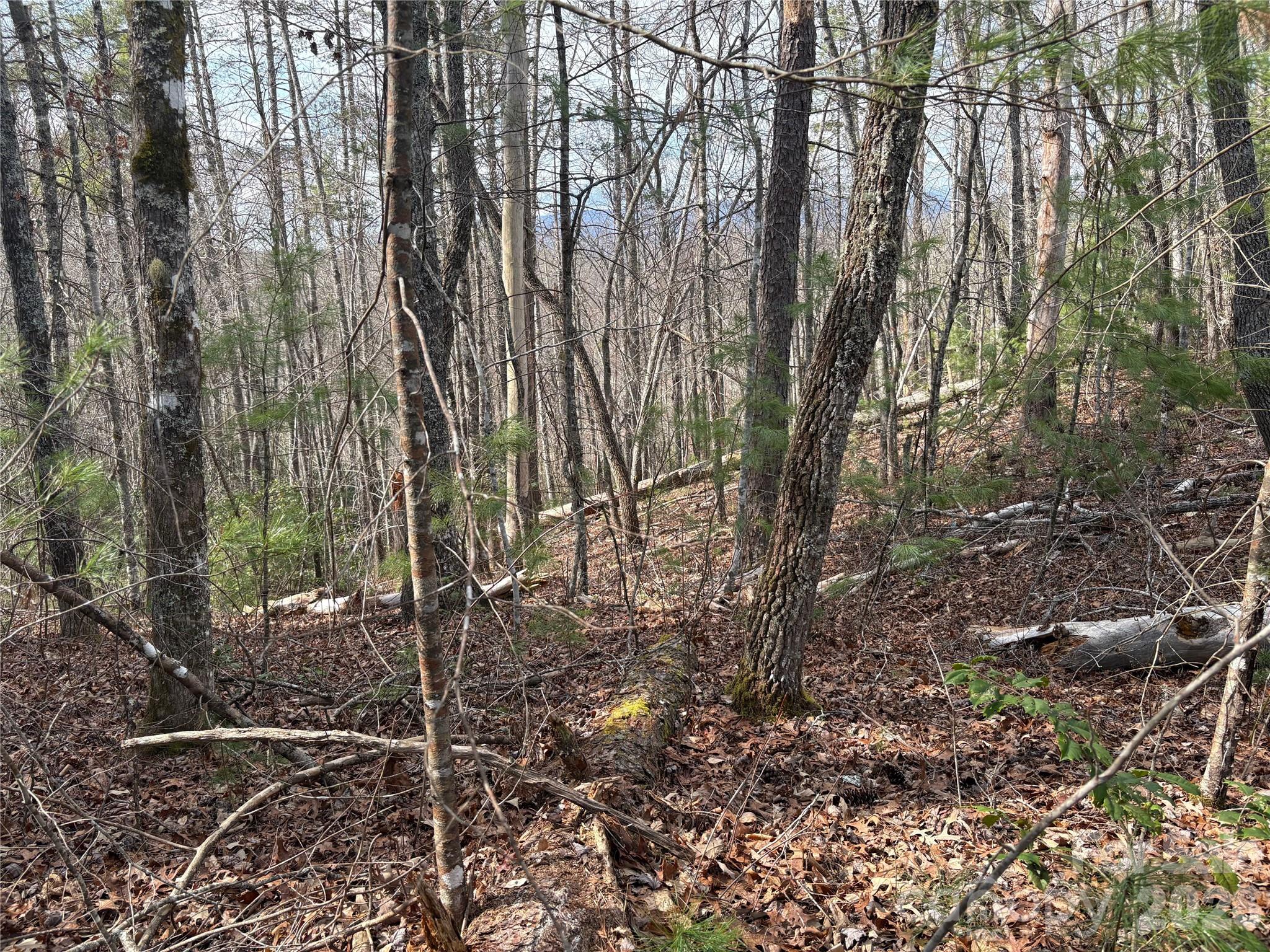 0 Round Hill Road, Unit 14 Bryson City, NC 28713 - Photo 17 of 27