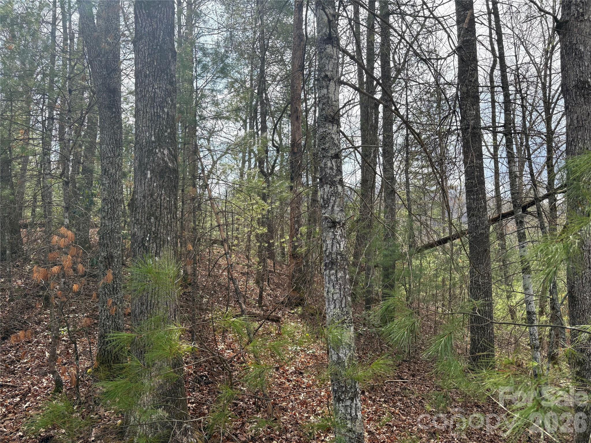 0 Round Hill Road, Unit 14 Bryson City, NC 28713 - Photo 18 of 27