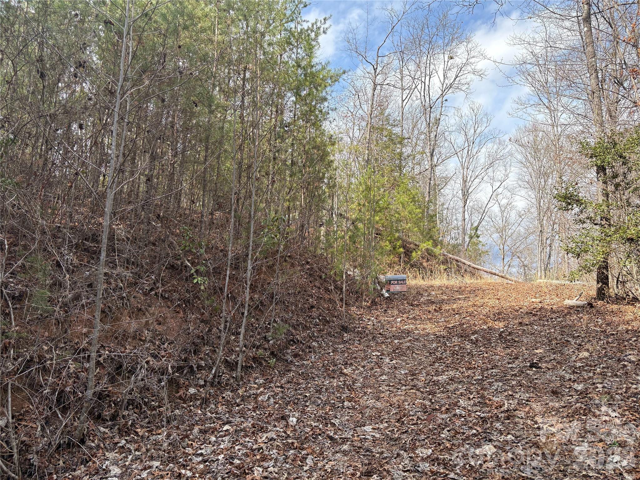 0 Round Hill Road, Unit 14 Bryson City, NC 28713 - Photo 19 of 27