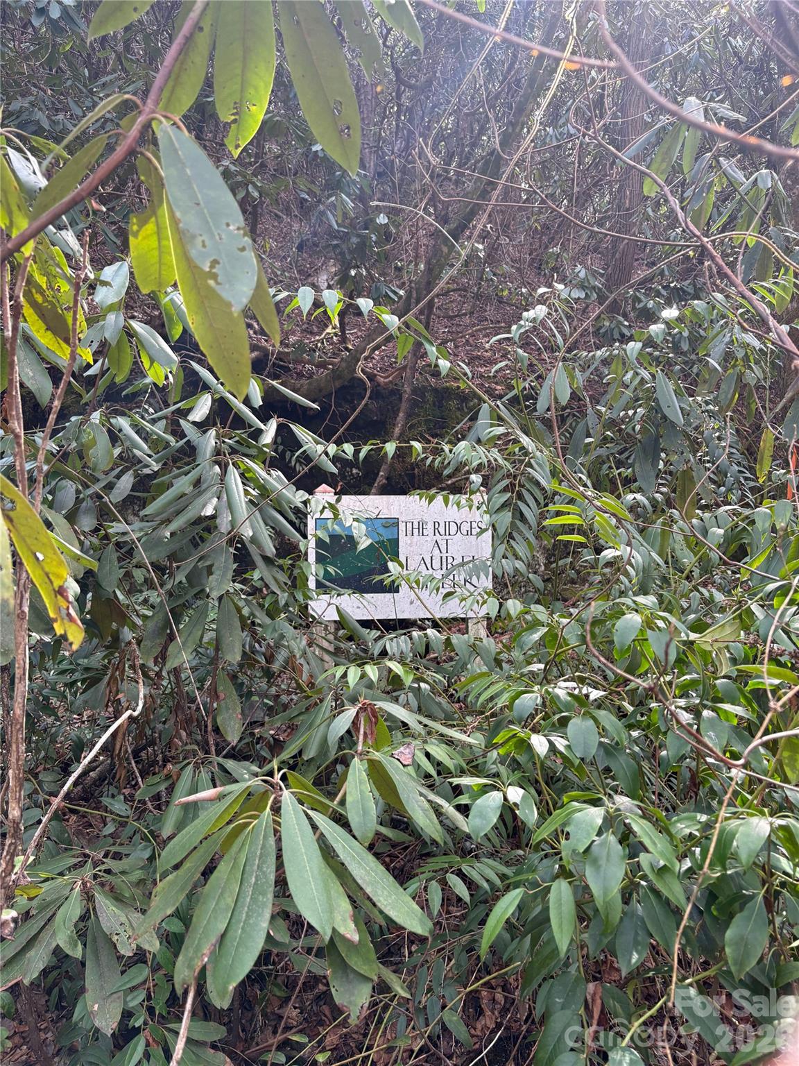 0 Round Hill Road, Unit 14 Bryson City, NC 28713 - Photo 20 of 27