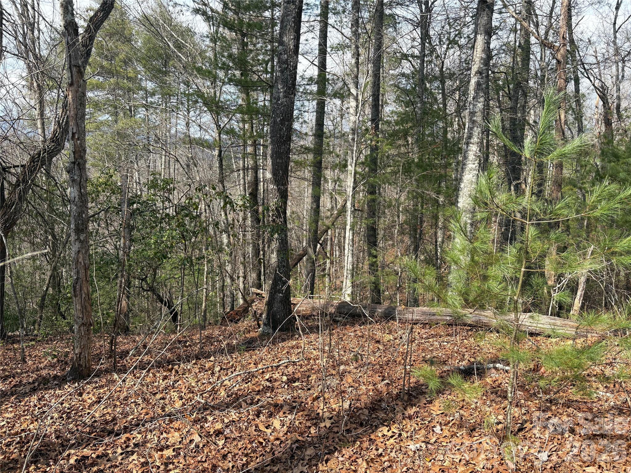 0 Round Hill Road, Unit 14 Bryson City, NC 28713 - Photo 2 of 27