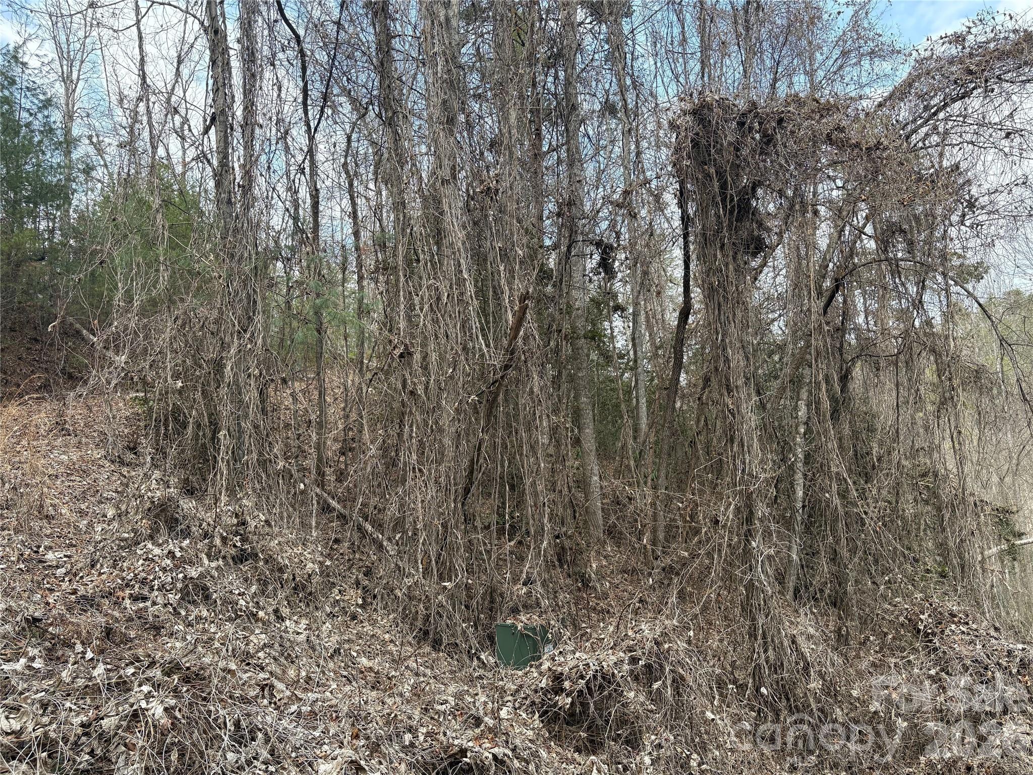 0 Round Hill Road, Unit 14 Bryson City, NC 28713 - Photo 22 of 27