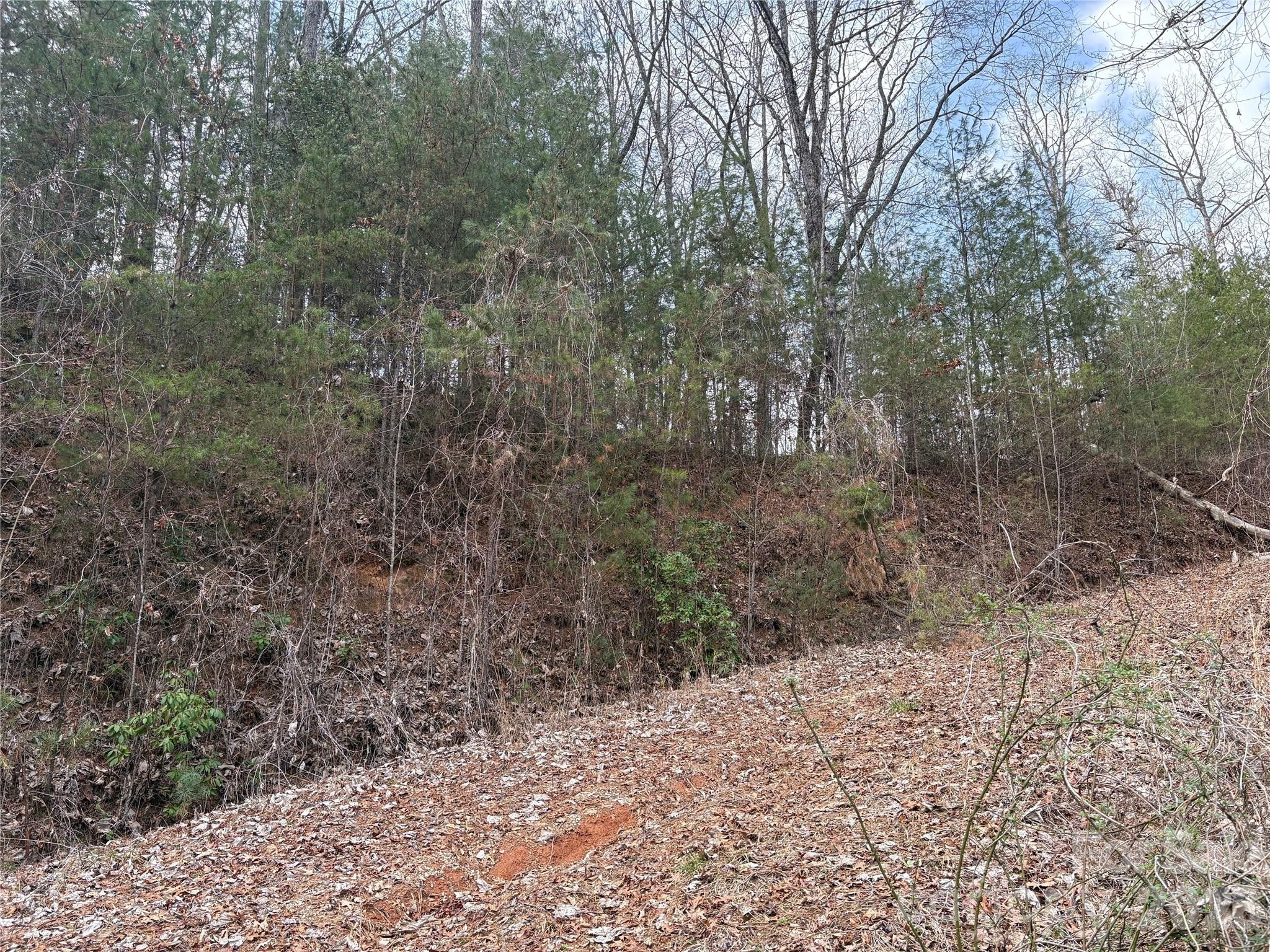 0 Round Hill Road, Unit 14 Bryson City, NC 28713 - Photo 23 of 27