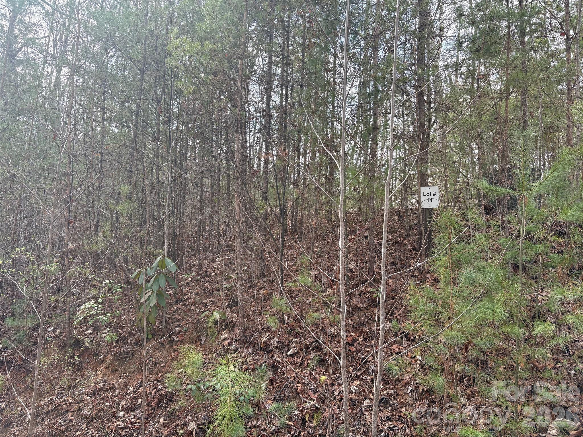 0 Round Hill Road, Unit 14 Bryson City, NC 28713 - Photo 24 of 27