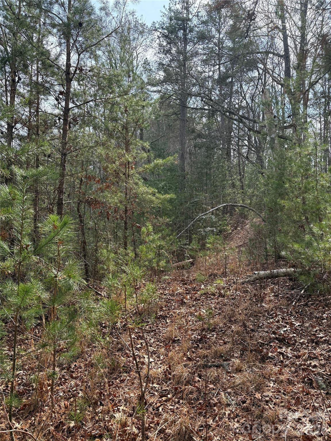 0 Round Hill Road, Unit 14 Bryson City, NC 28713 - Photo 25 of 27