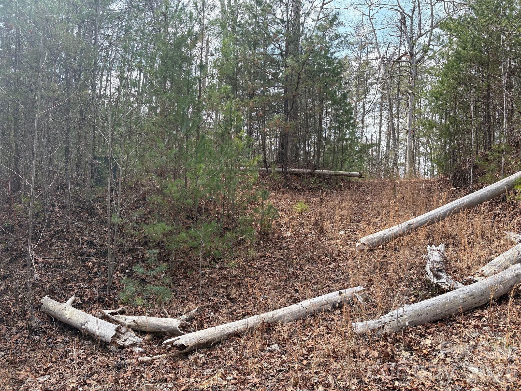 0 Round Hill Road, Unit 14 Bryson City, NC 28713 - Photo 26 of 27