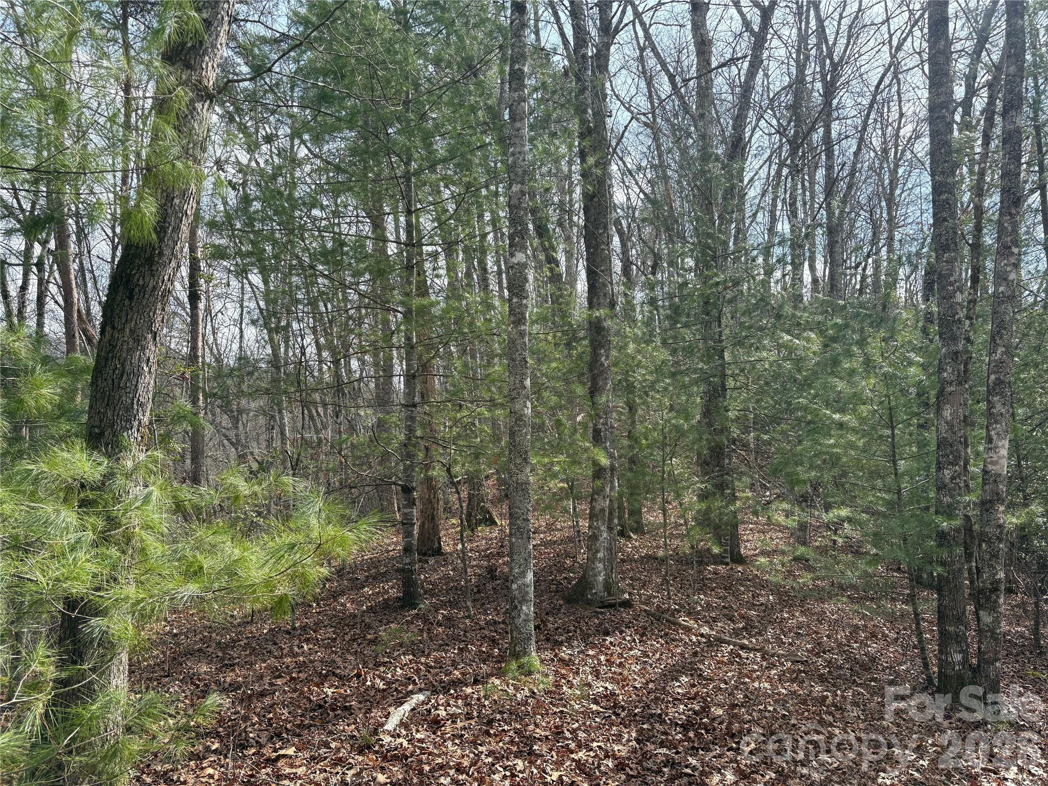 0 Round Hill Road, Unit 14 Bryson City, NC 28713 - Photo 3 of 27