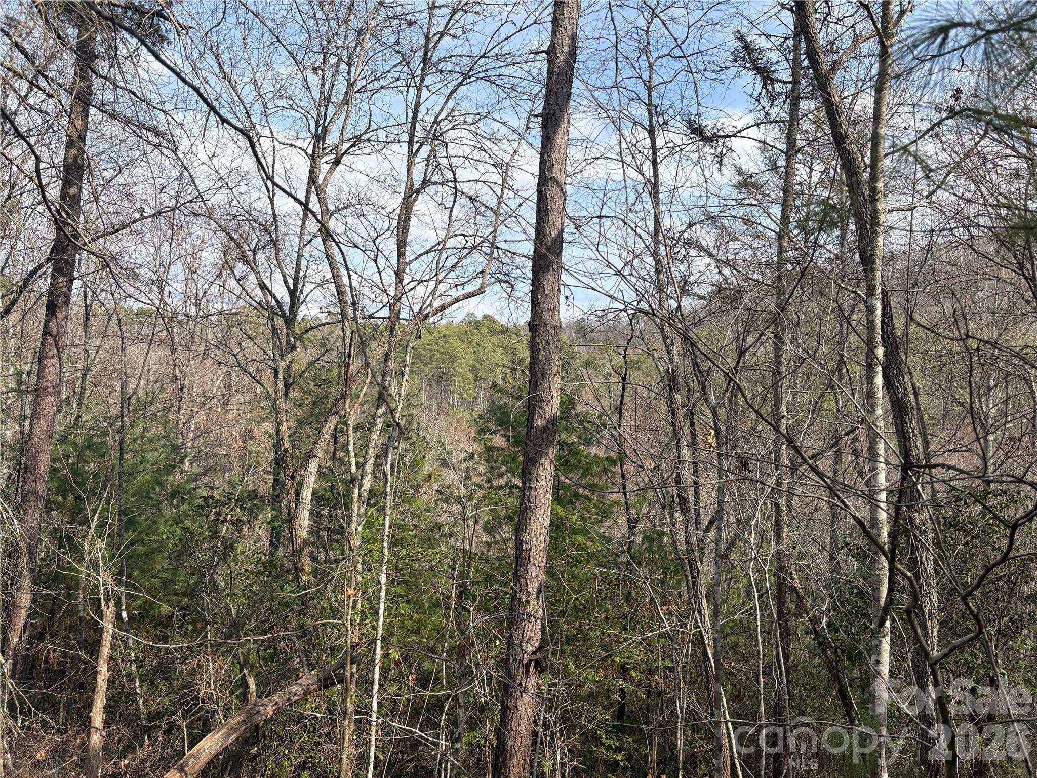 0 Round Hill Road, Unit 14 Bryson City, NC 28713 - Photo 4 of 27