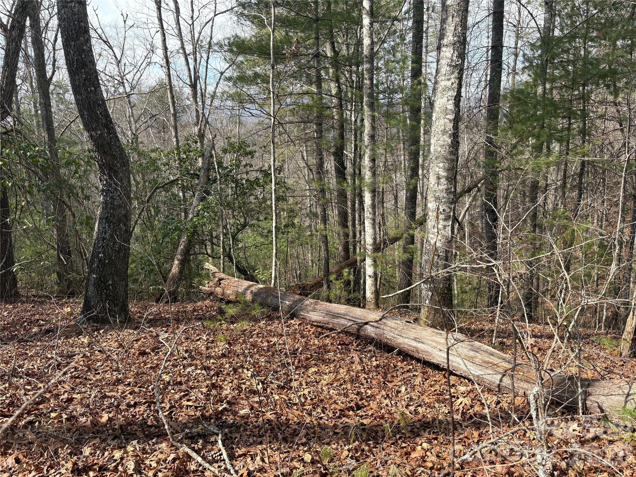 0 Round Hill Road, Unit 14 Bryson City, NC 28713 - Photo 5 of 27