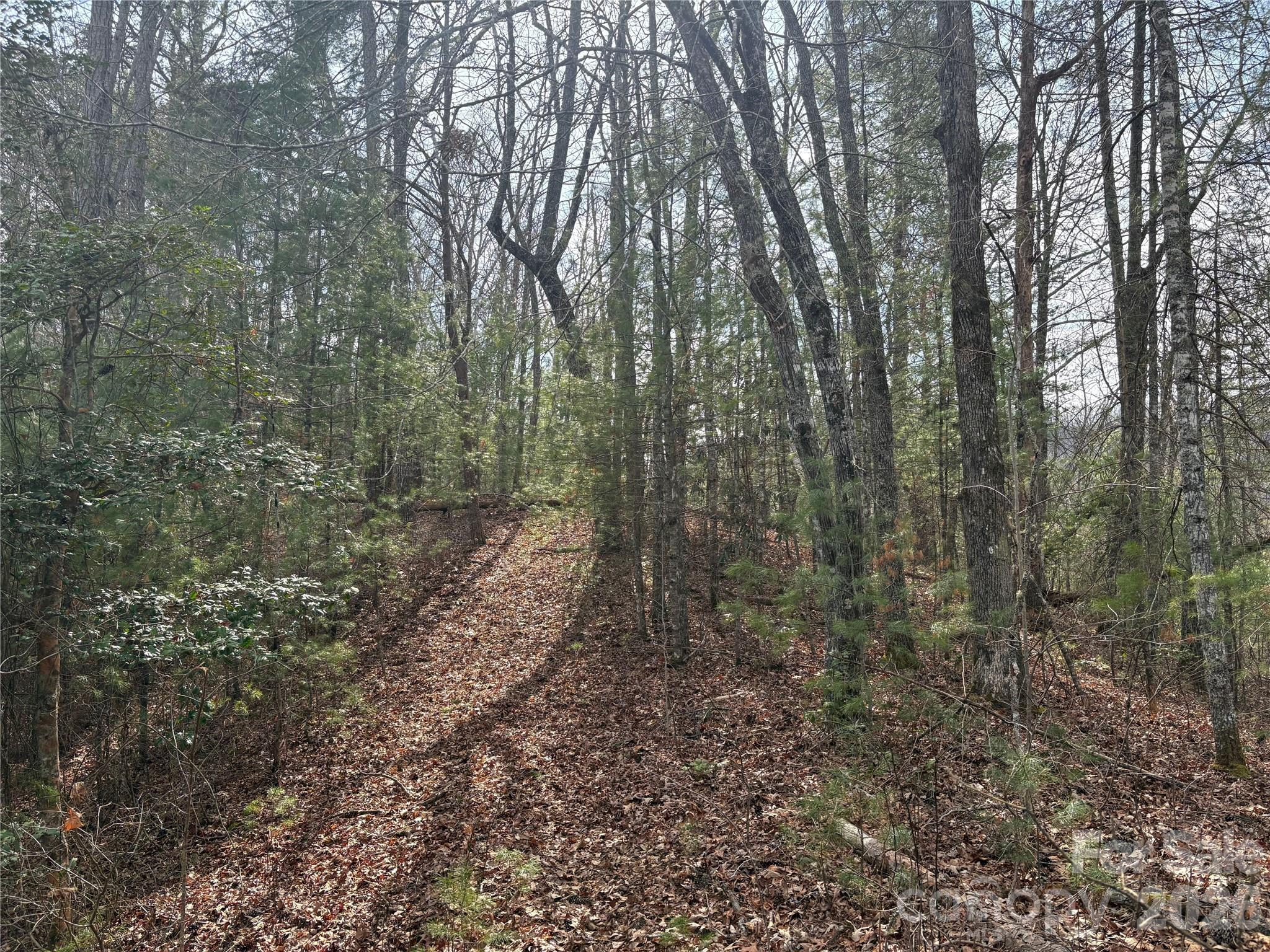 0 Round Hill Road, Unit 14 Bryson City, NC 28713 - Photo 6 of 27