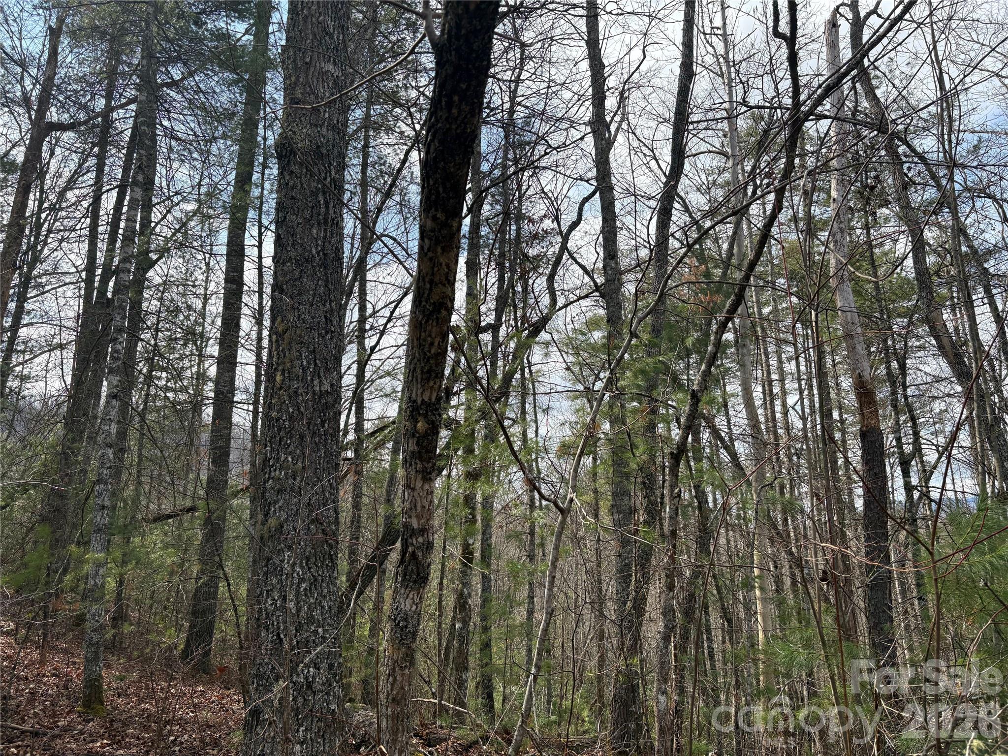 0 Round Hill Road, Unit 14 Bryson City, NC 28713 - Photo 7 of 27