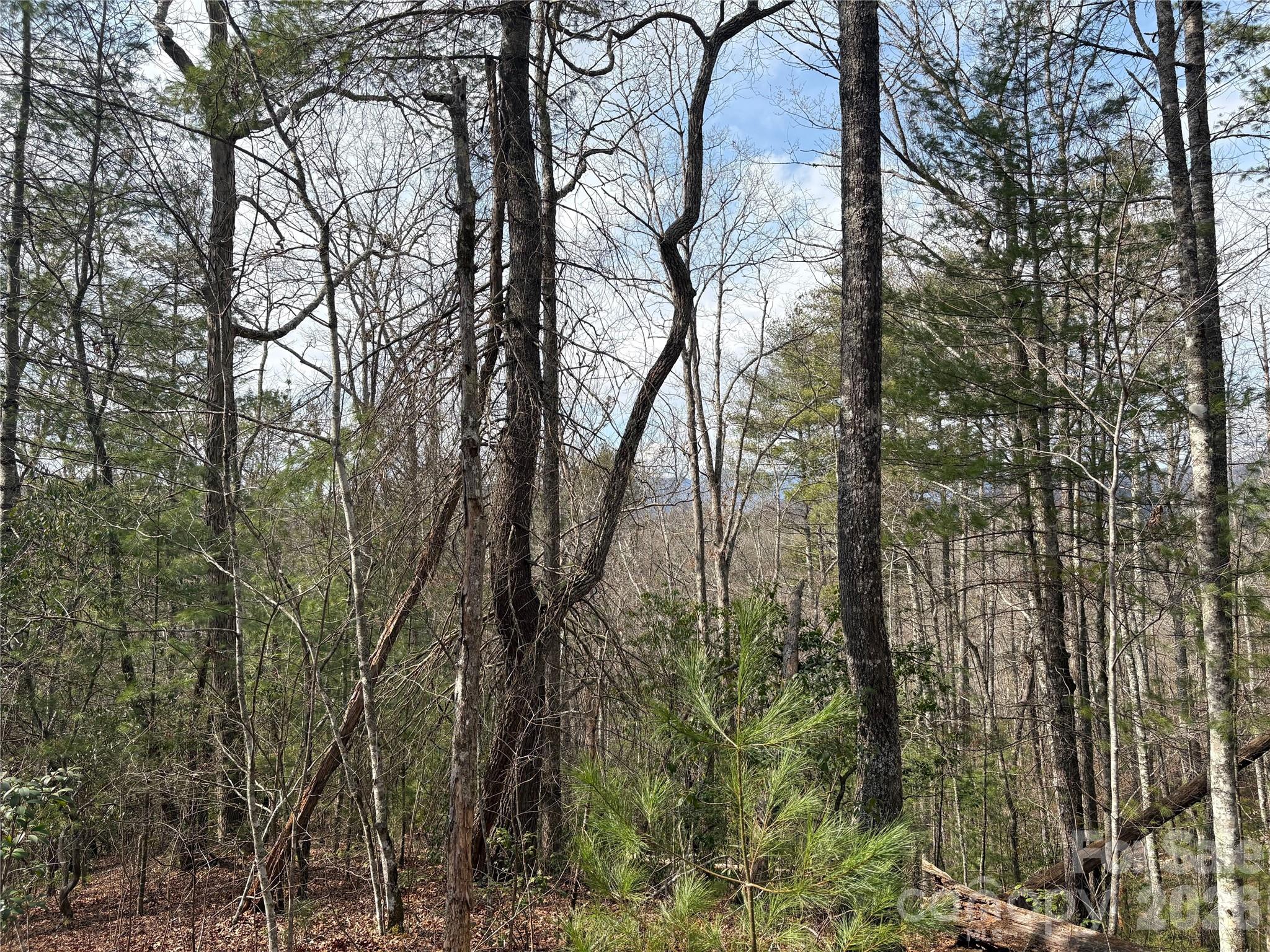 0 Round Hill Road, Unit 14 Bryson City, NC 28713 - Photo 8 of 27