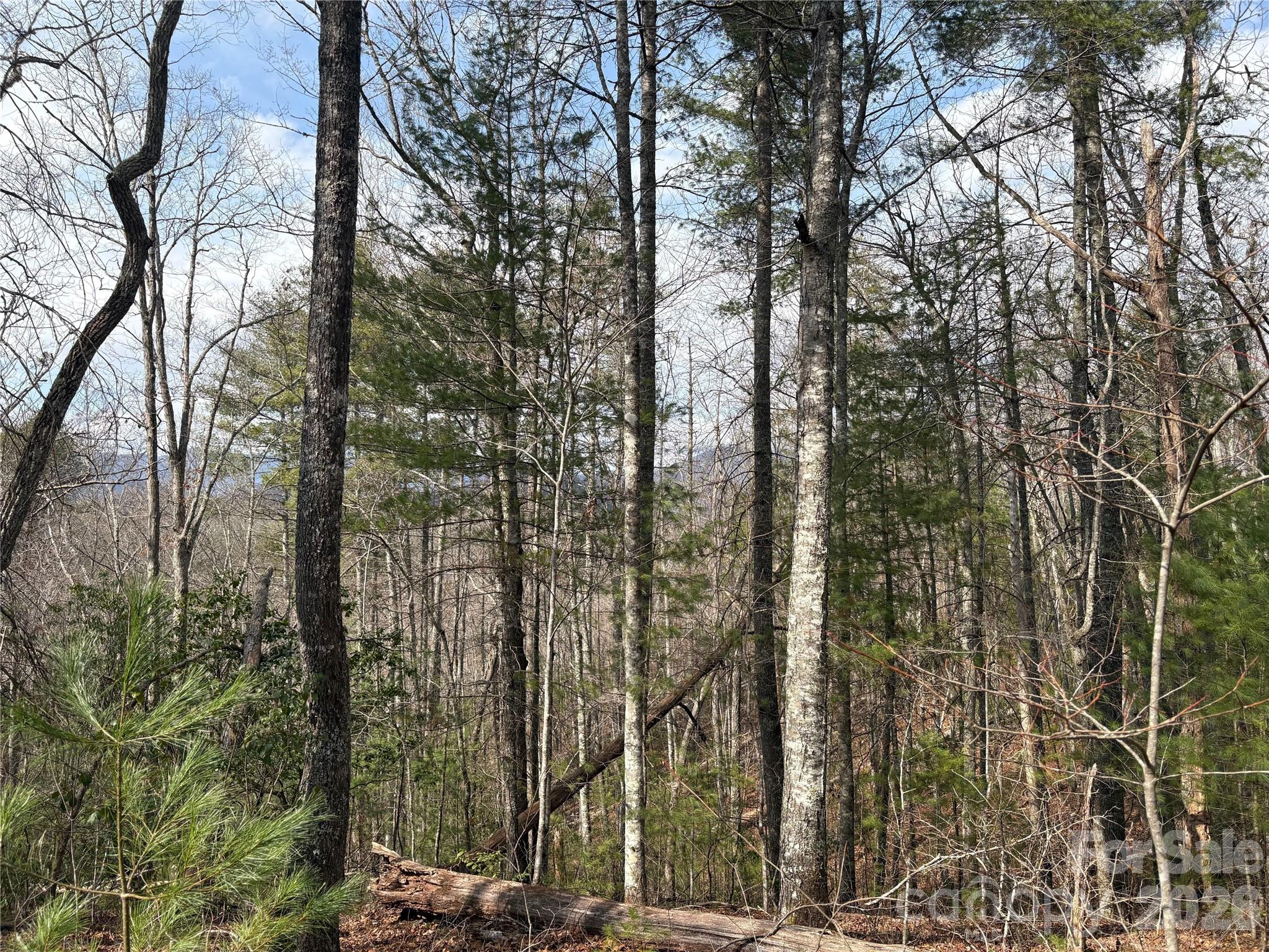 0 Round Hill Road, Unit 14 Bryson City, NC 28713 - Photo 9 of 27