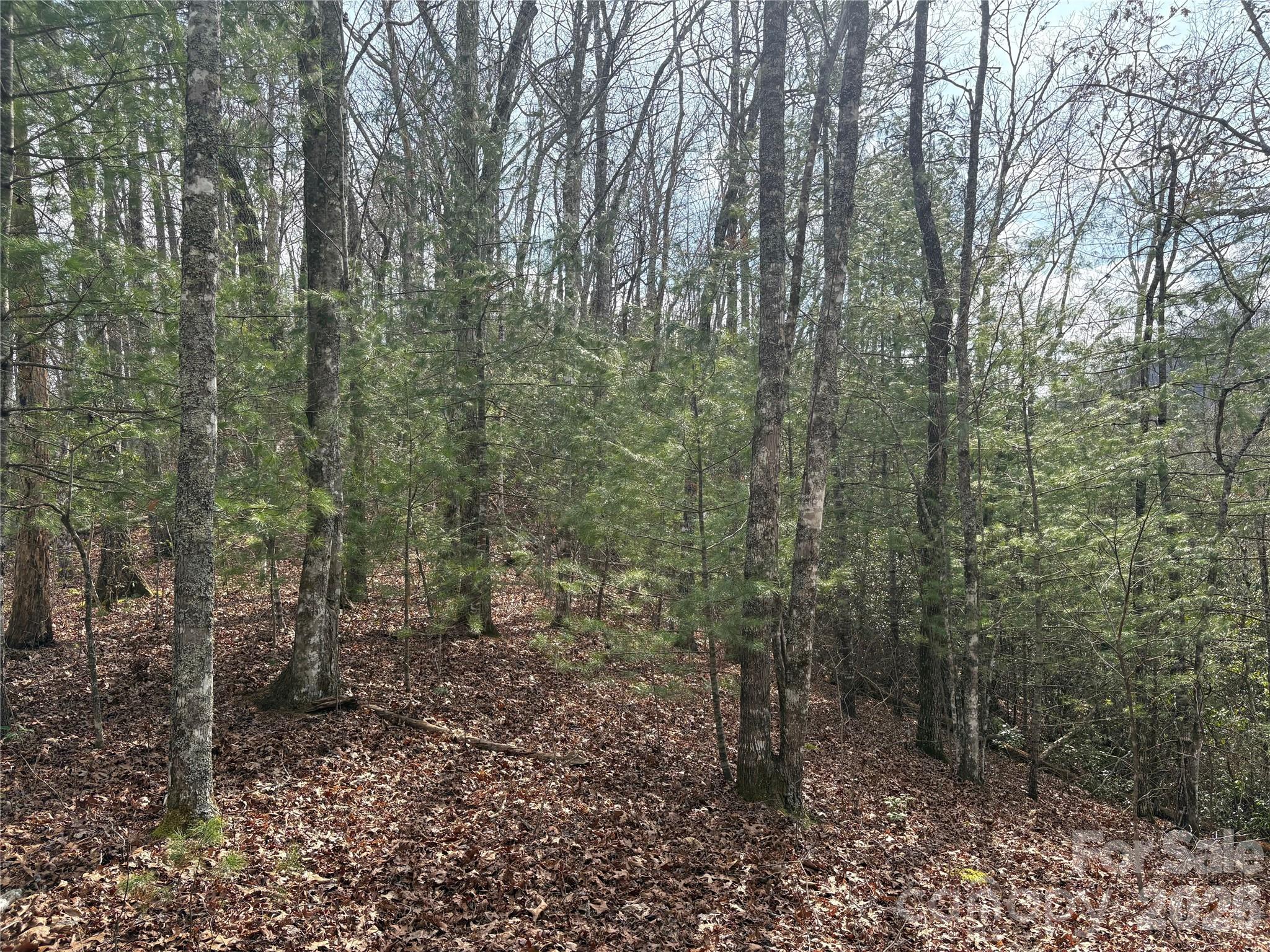 0 Round Hill Road, Unit 14 Bryson City, NC 28713 - Photo 10 of 27