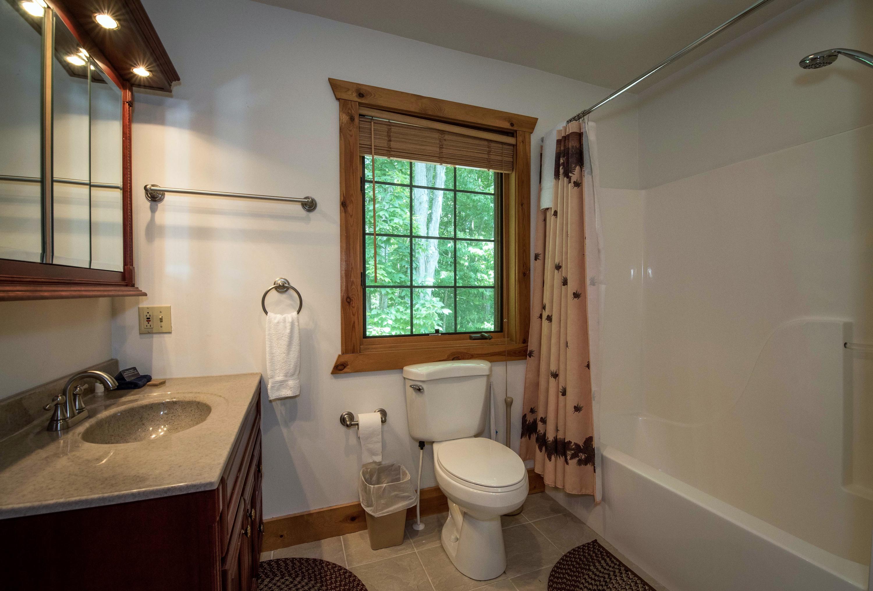 7 Hawthorne Ridge Road Slatyfork, WV 26291 - Photo 18 of 31 Gallery Image 18