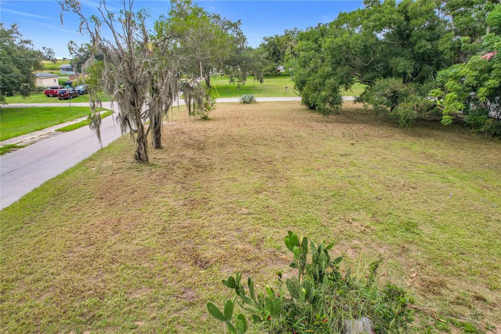 914 Harrell Avenue Frostproof, FL 33843 - Photo 5 of 11 a view of road with large trees
