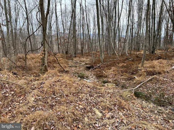 $540,000 | 880 Phoenix Lane, Mill Hall, PA 17751