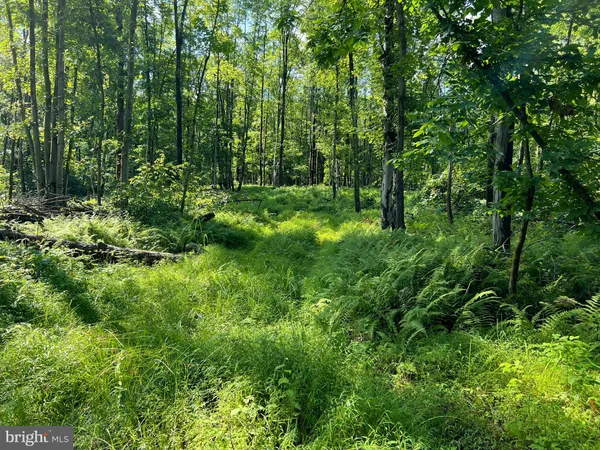 $540,000 | 880 Phoenix Lane, Mill Hall, PA 17751
