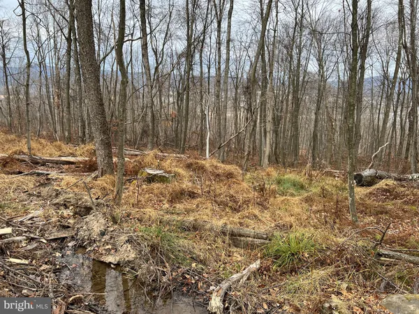 $540,000 | 880 Phoenix Lane, Mill Hall, PA 17751