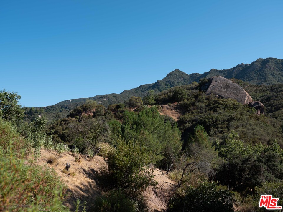 23407 Red Rock Road Topanga, CA 90290 - Photo 33 of 41 a view of a lot of trees and mountains