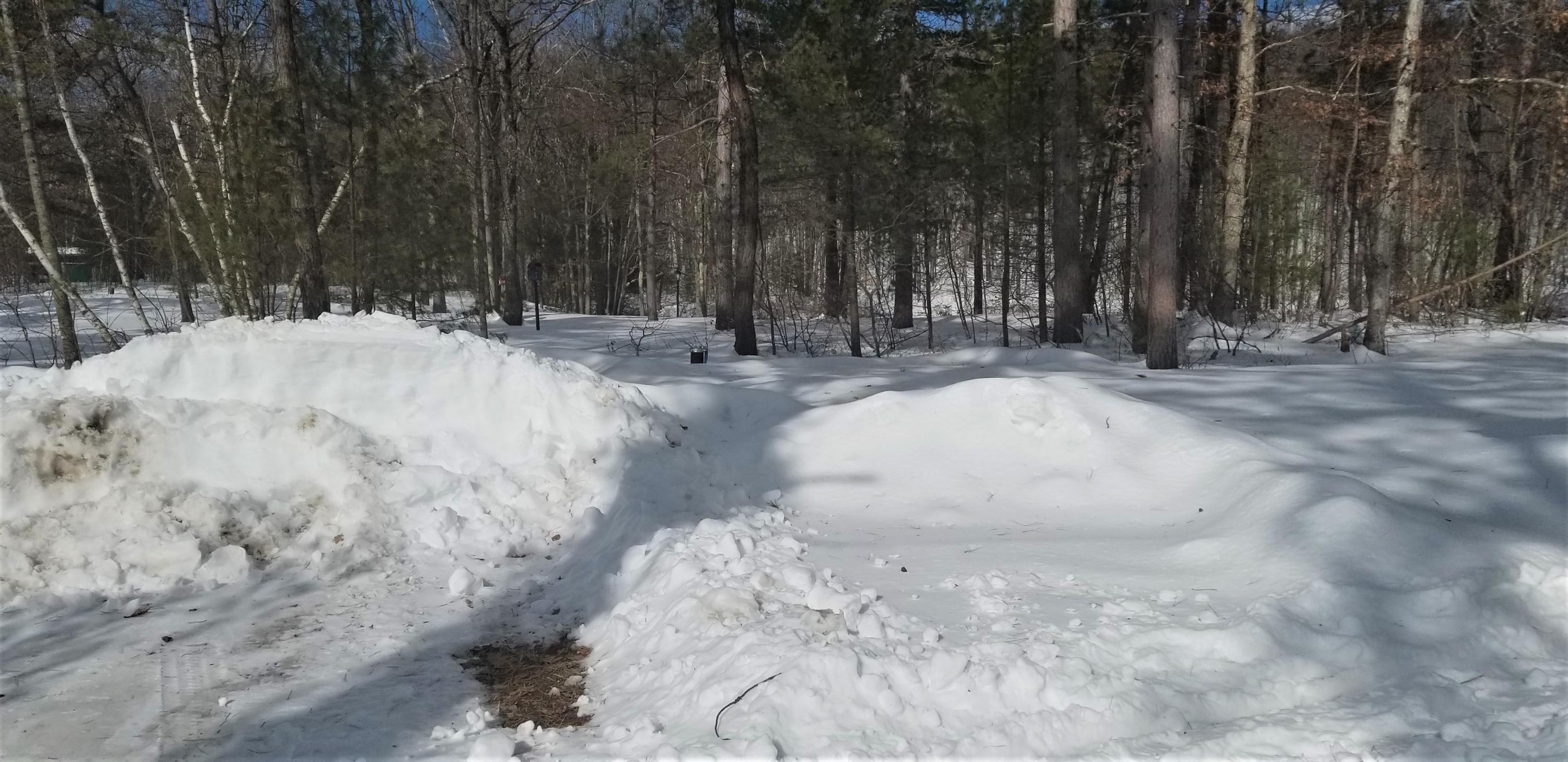 0 Garfield Road West Newfield, ME 04095 - Photo 3 of 15 garfield back yard
