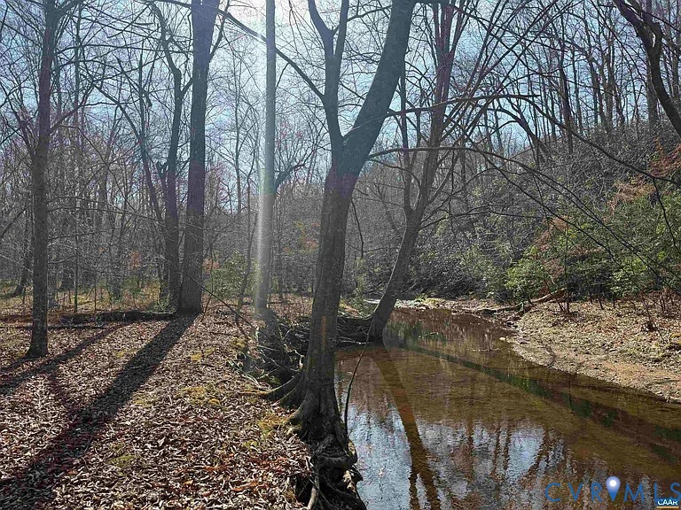 0 Paynes Pond Road Scottsville, VA 24590 - Photo 35 of 44