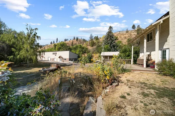 a view of a yard with plants and a fountain