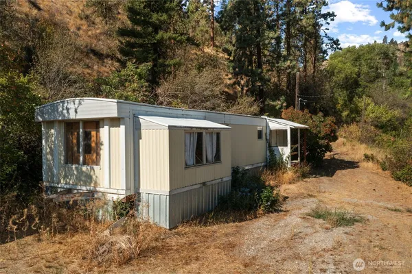 a view of a yard with a tree