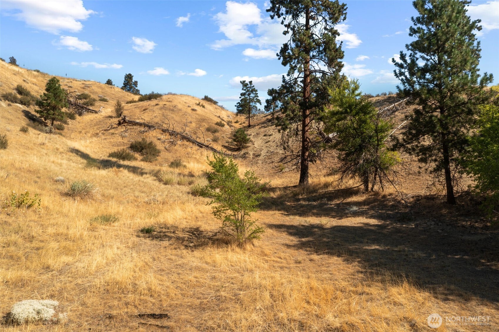 5177 Woodring Canyon Road Cashmere, WA 98815 - Photo 39 of 40