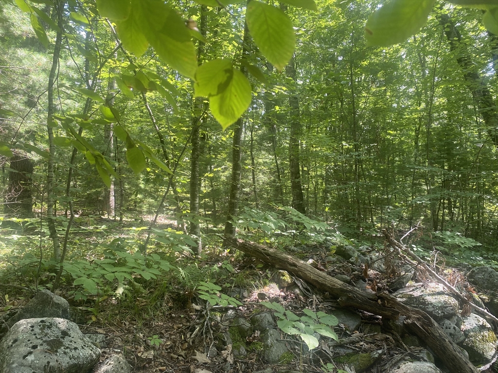 7 Delargy Road Hardwick, MA 01037 - Photo 12 of 21 Gallery Image 12