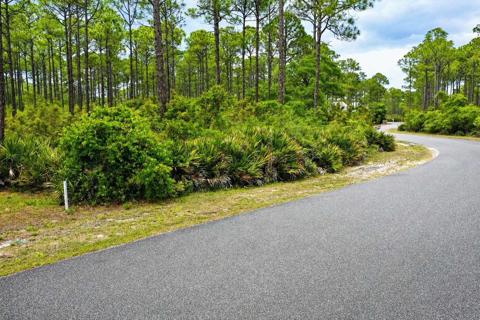 133 Fishhook Way Sopchoppy, FL 32358 - Photo 20 of 28