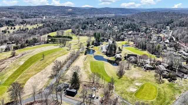 a view of a swimming pool with a yard and mountain view