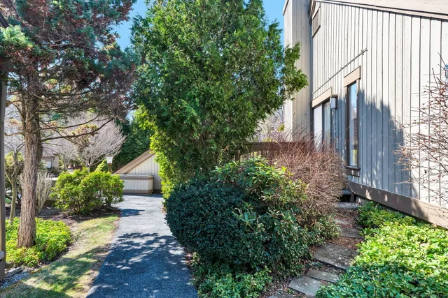 a view of a pathway with a flower in a corridor