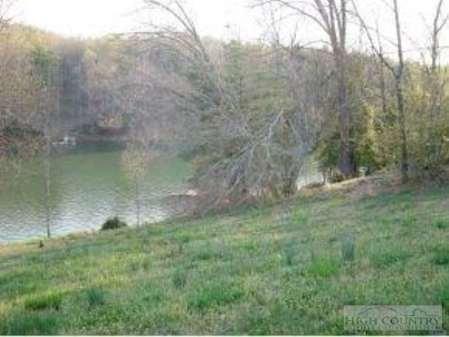Harbour Point Drive Butler, TN 37640 - Photo 11 of 12 a view of a lush green forest with a lake