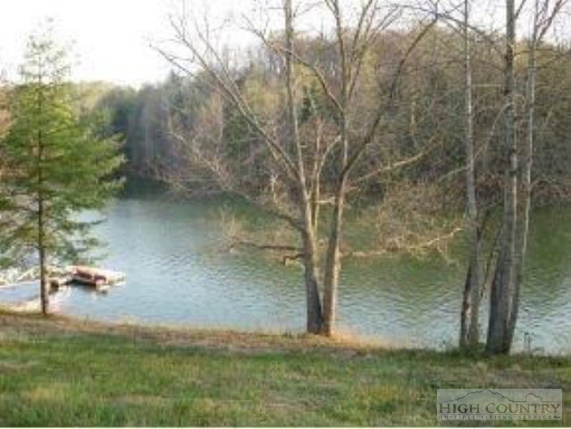 Harbour Point Drive Butler, TN 37640 - Photo 12 of 12 a view of a yard