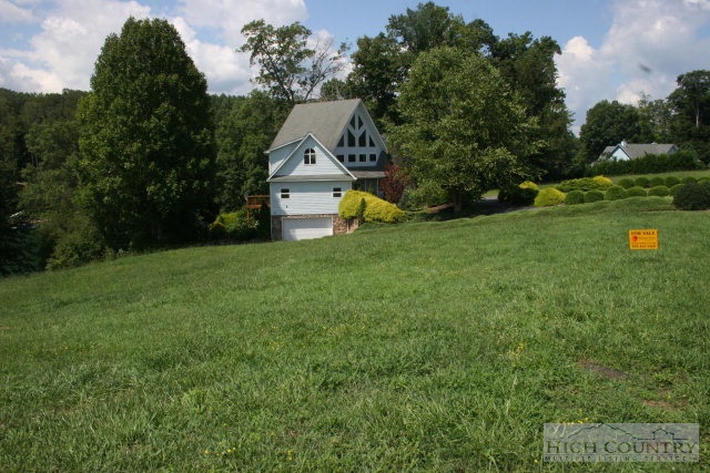 Harbour Point Drive Butler, TN 37640 - Photo 2 of 12 a view of a house with a park
