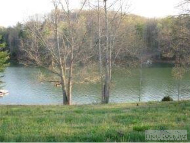 Harbour Point Drive Butler, TN 37640 - Photo 3 of 12