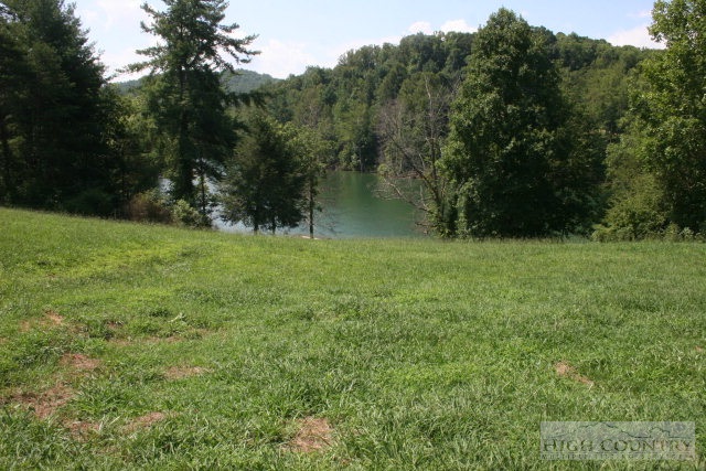 Harbour Point Drive Butler, TN 37640 - Photo 5 of 12 a view of a green yard