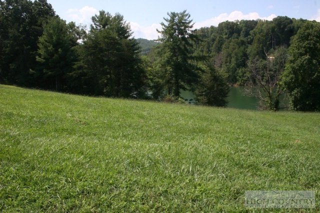 Harbour Point Drive Butler, TN 37640 - Photo 6 of 12 a view of field with trees in the background